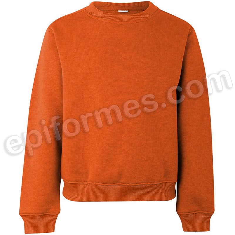 Sudadera escolar en 19 colores