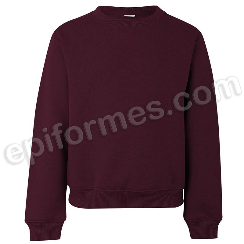 Sudadera escolar en 19 colores