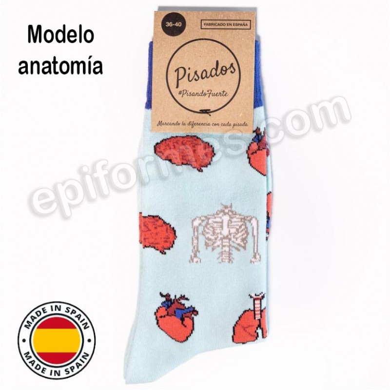 Calcetines de sanidad estampados anatomía