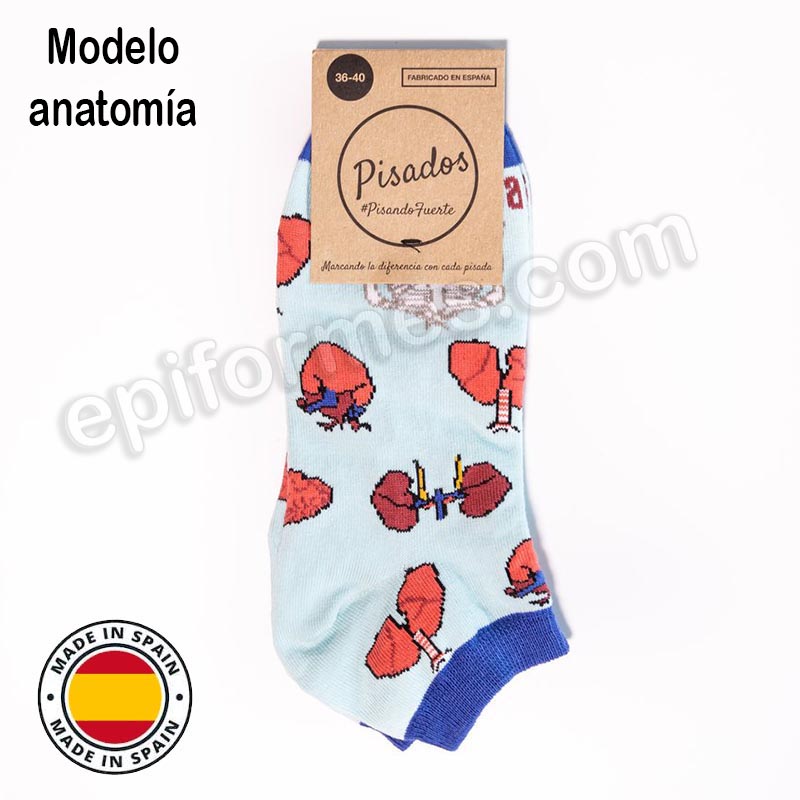 Calcetines de sanidad estampados anatomía