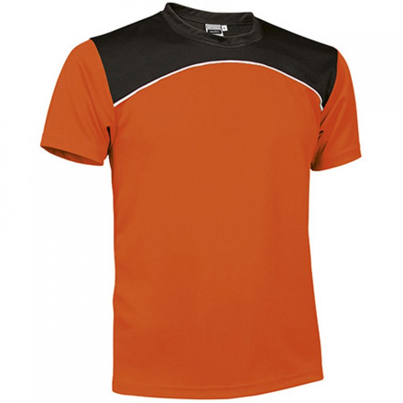 Camiseta técnica tricolor