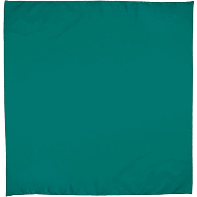 Pañuelo cuadrado bandana fiestas