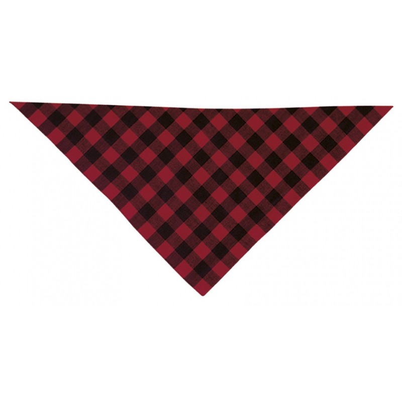 Pañuelo triangular cachirulo