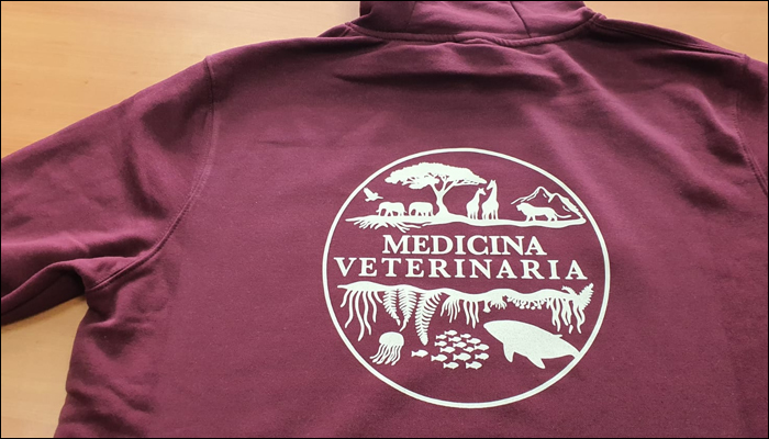 Sudaderas personalizadas para estudiantes promo 2025-30